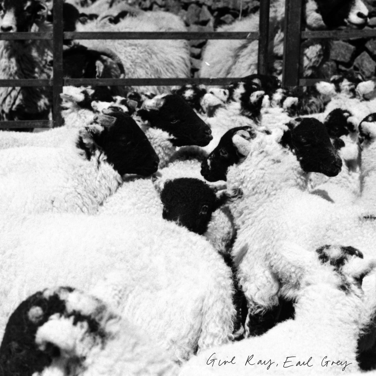 earl girls Steve earle galway girl i do not own nor do i claim to own the song used in this video all rights owned by e-squared records steve earle galway girl. earl girls Steve earle galway girl i do not own nor do i claim to own the song used in this video all rights owned by e-squared records steve earle galway girl.