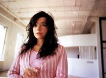 bjork nattura