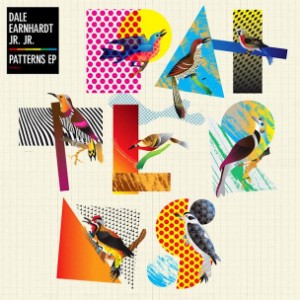 Dale Earnhardt Jr. Jr. - Hidings
