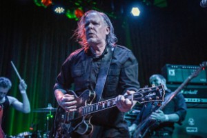 Swans at Warsaw