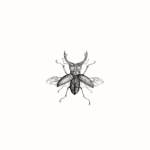 Glish - "Kvlt" (Stereogum Premiere)
