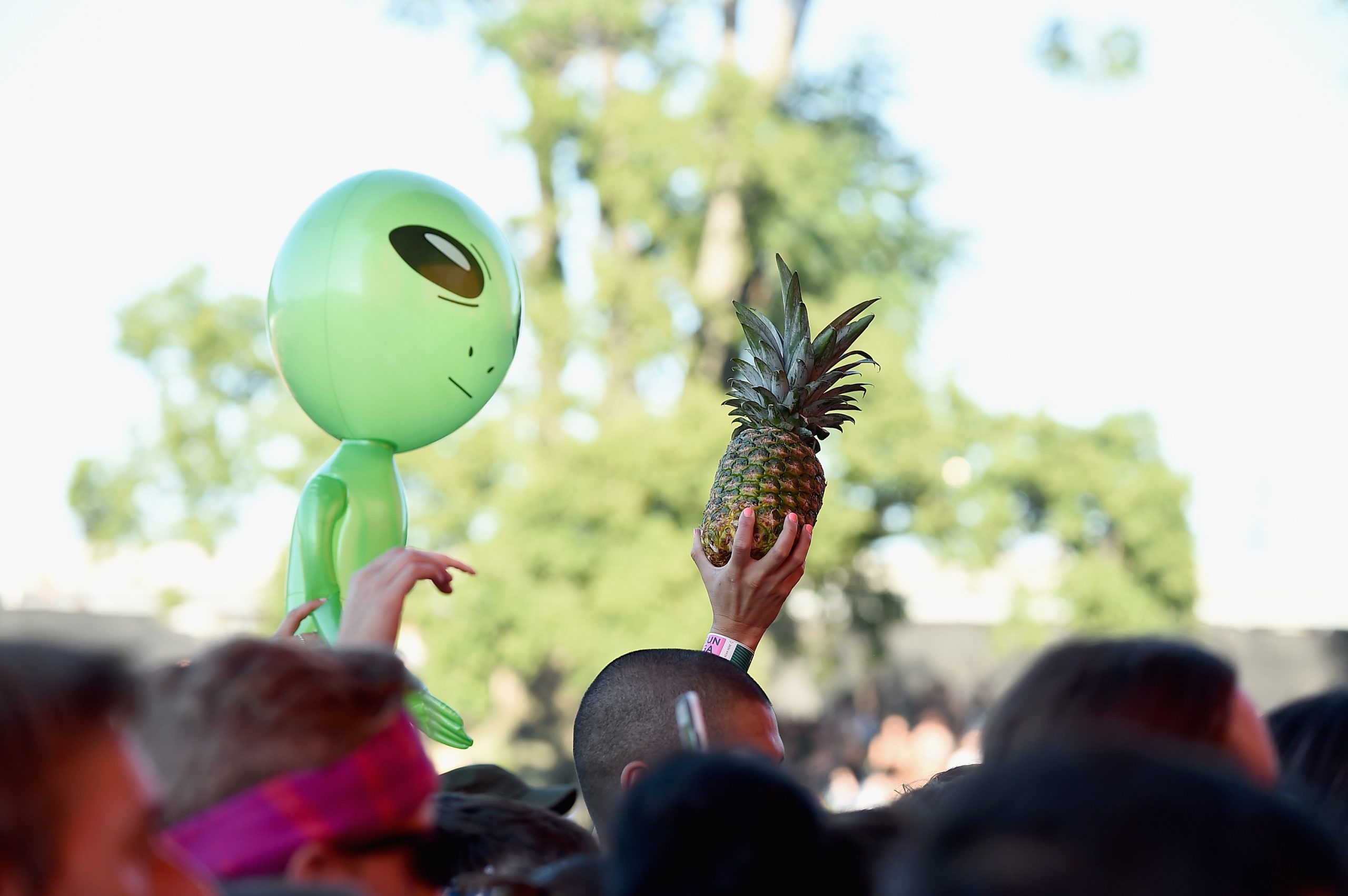 Reading And Leeds Ban Pineapples