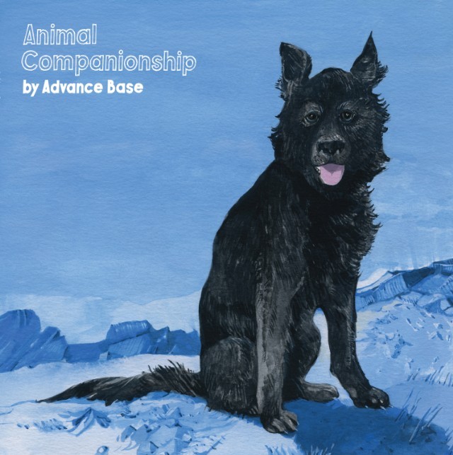 advance base animal companionship review loss love dogs album animal