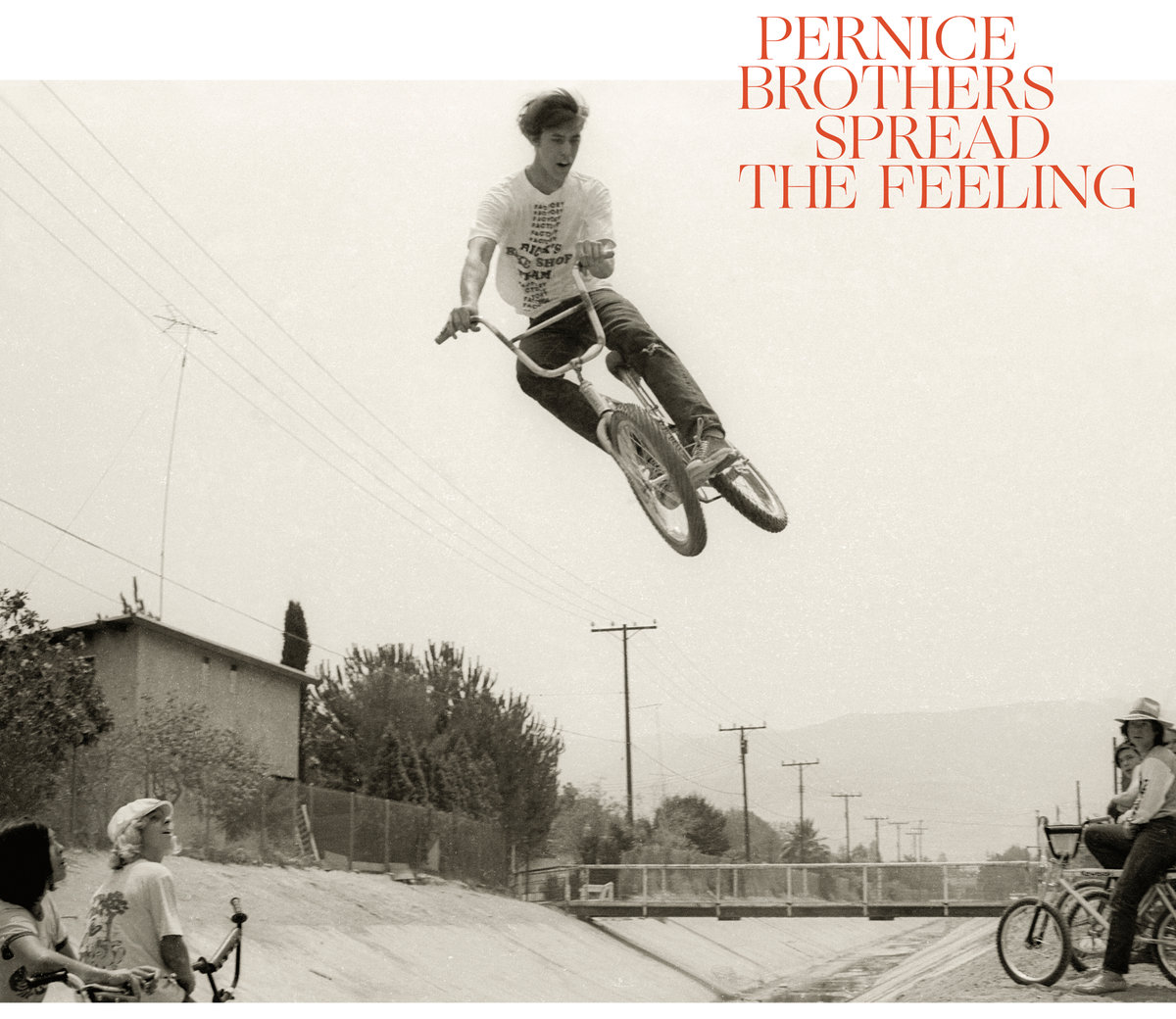 Pernice Brothers