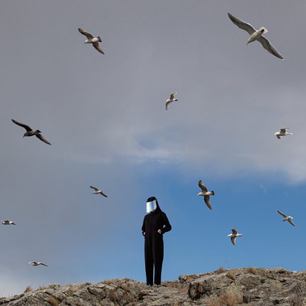 Hamerkop – “We Can Wing”