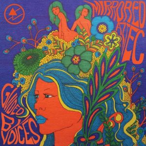 Guided-By-Voices-Mirrored-Aztec