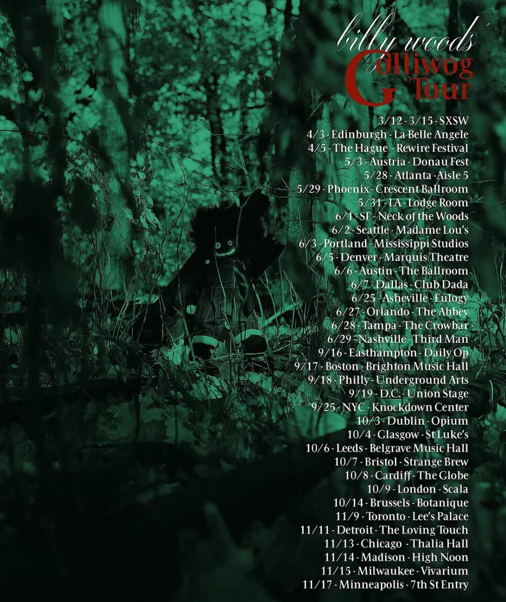 billy woods Announces New Album 'GOLLIWOG': Hear 
