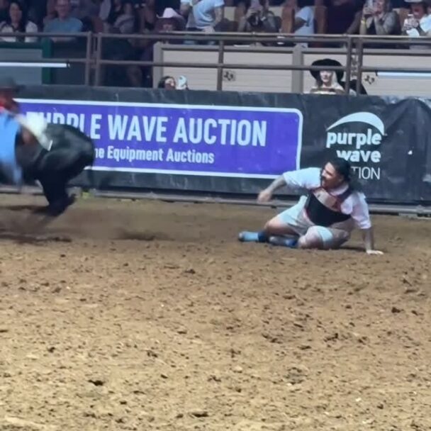 That Rodeo Bull: 1, That Mexican OT: 0