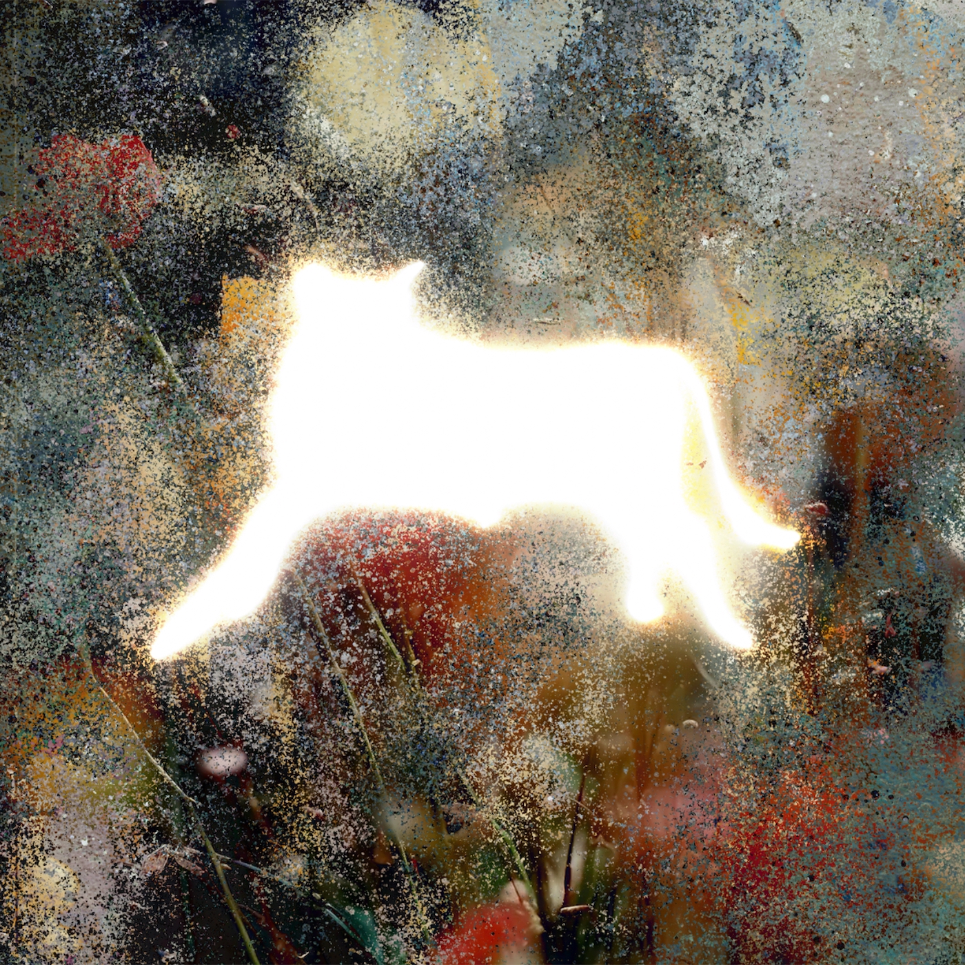 Joyer Announce New Album On The Other End Of The Line…: Hear "Cure" - Article image
