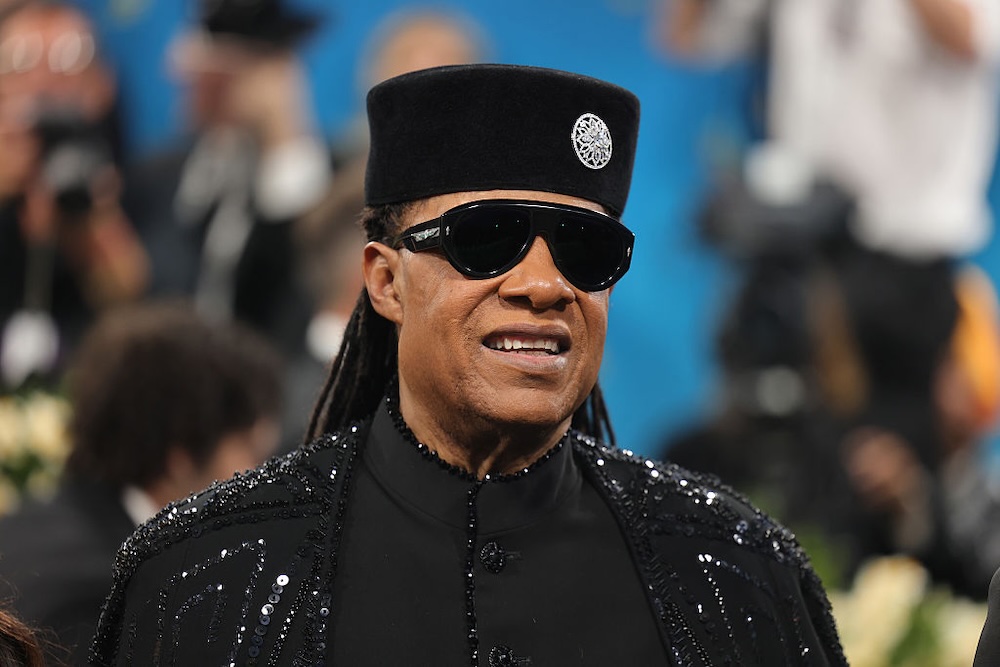 Stevie Wonder Says He Is Blind