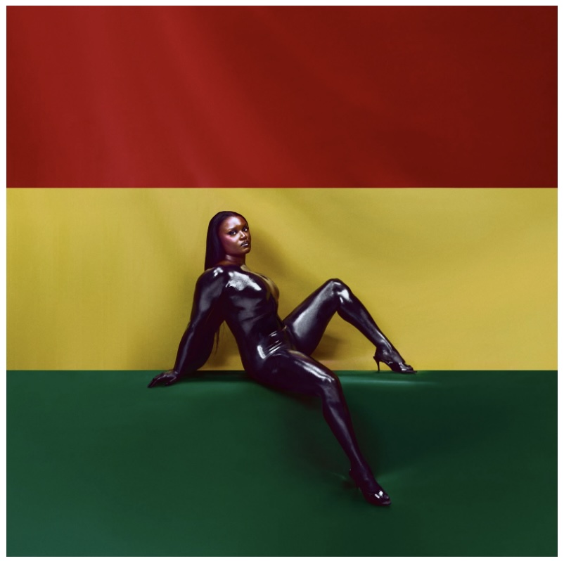 Stream Amaarae's Hedonistic New Album Black Star Feat. PinkPantheress, Charlie Wilson, & Naomi Campbell - Article image
