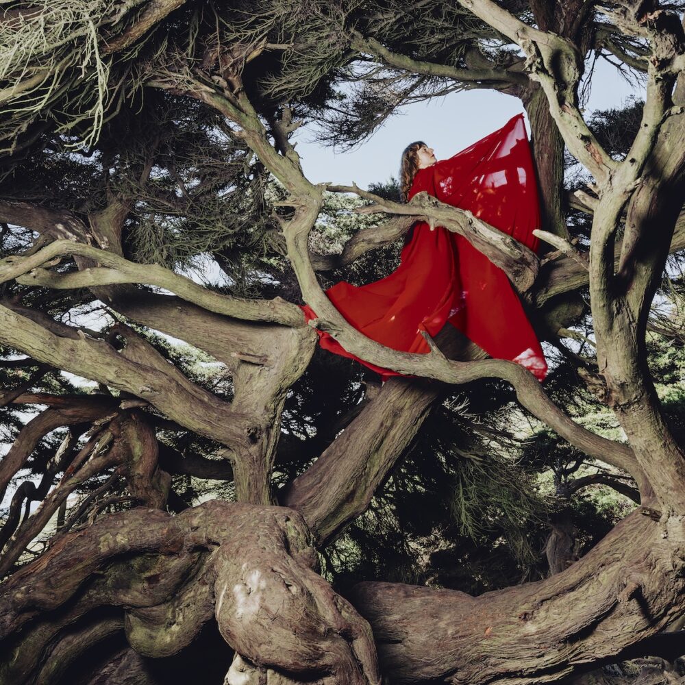 Hannah Frances - Nested in Tangles