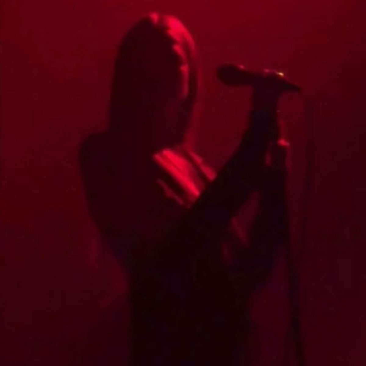 Fine – “Portal”