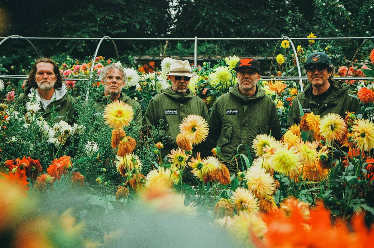 Super Furry Animals Announce Reunion Tour
